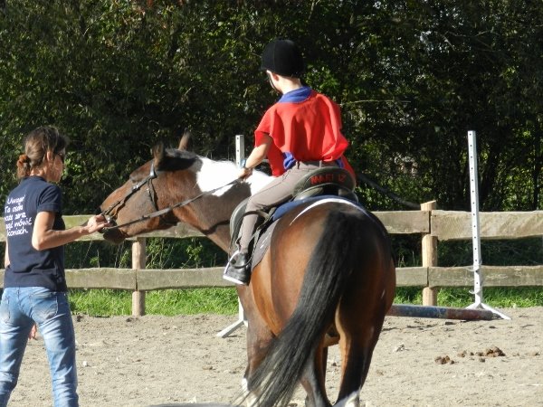 Babie Lato 2015